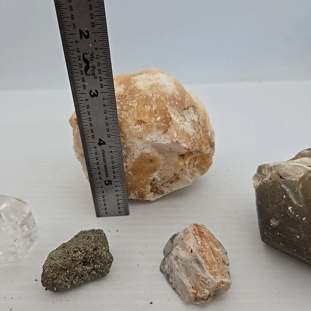 Unique Rock / Fossil Lot‎ Of 10